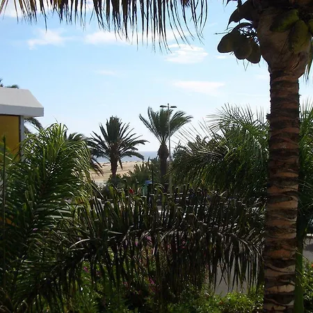 Alsol Nogal- Adults Only * פלאייה דל אינגלז