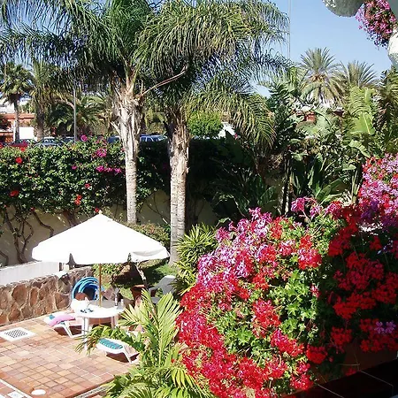 Alsol Nogal- Adults Only פלאייה דל אינגלז