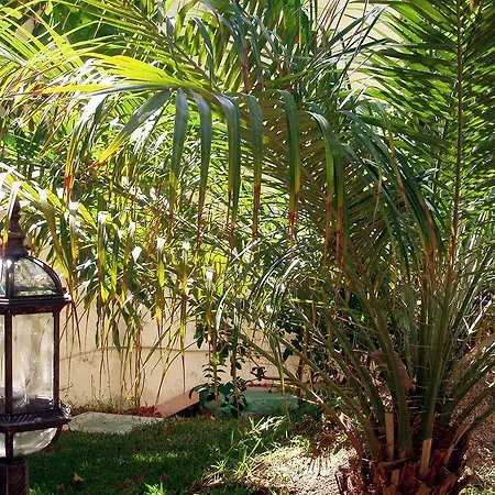 Alsol Nogal- Adults Only דירה