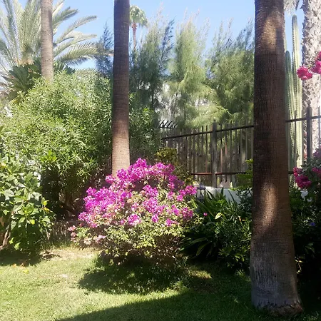 Alsol Nogal- Adults Only פלאייה דל אינגלז