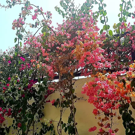 דירה Alsol Nogal- Adults Only *