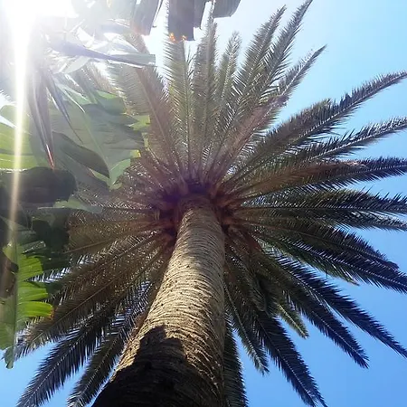 Alsol Nogal- Adults Only דירה פלאייה דל אינגלז