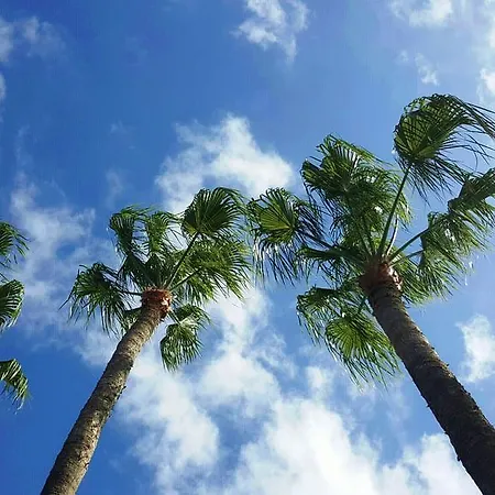 Alsol Nogal- Adults Only פלאייה דל אינגלז