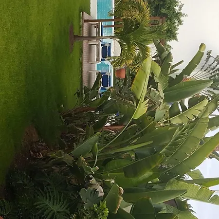 Alsol Nogal- Adults Only * פלאייה דל אינגלז