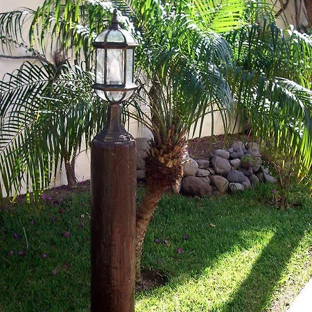 Alsol Nogal- Adults Only *