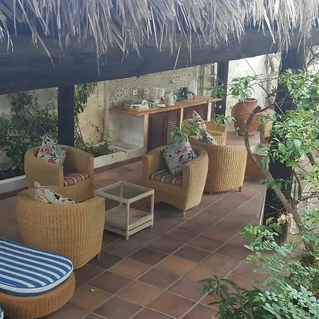 Alsol Nogal- Adults Only *